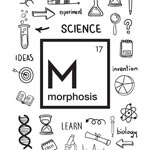 Morphosis  : 